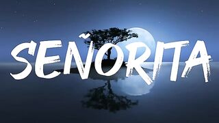 Señorita Letra (Lyrics)