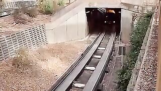 funny video 605