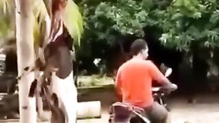 Funny videos ???????? 14