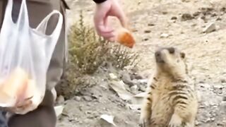 Never take food from strangers