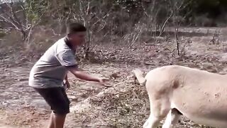 Funny videos 620