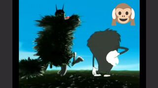 Funny video