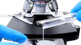 Sperm In Microscope ????