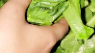 "Cooking jackfruit seeds cutting-edge