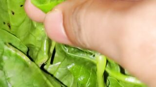 vegetables cook item to day cook