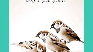 شرعی مسائل اور ان کا حل 442