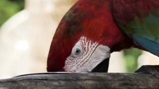 Beautiful Quotes video 3