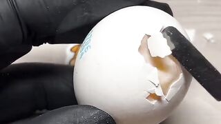 Egg Experiment II????
