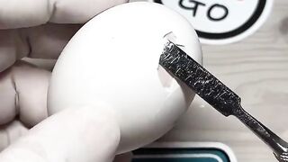 Egg Experiment IV