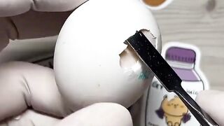 Egg Experiment V ????