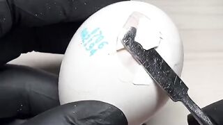Egg Experiment VIII