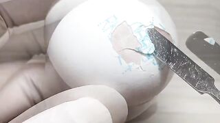 Egg Experiment IX