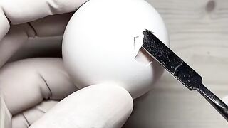 Egg Experiment X
