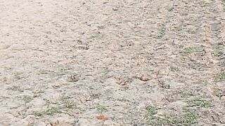 ফুট বল