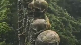 The world 2cnd best jungle....