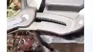 বন্ধু কমলার জুস খাবি???? ????????????