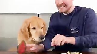 Mr beast 18