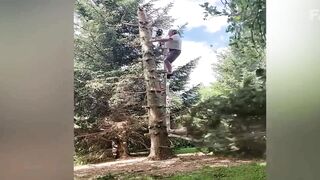 Most Funny Video..Just So Funny