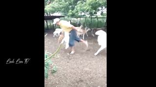 Tổng Hợp Những Khoảnh Khắc Hài Hước Của Năm ???????????? PART 5.
