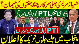 شہباز مریم کی جعلی سرکارچند ہفتوں کی مہمان؟ پچاسی سیٹیں پی ٹی آی کو واپس ملیں گی