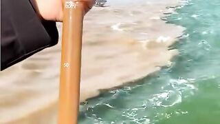 Ocean 14