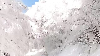 video 842
