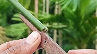 Bamboo Creations with Mini toy
