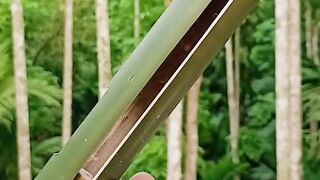Bamboo Creations with White Cup