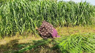 Village girl work