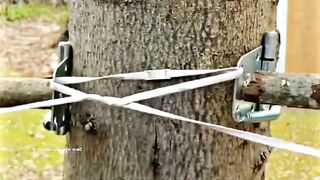 Beautiful solution for single person's life