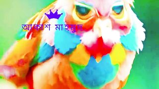 Islamik nice#video#2024