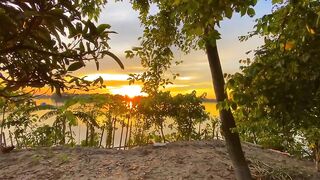 প্রকৃতি_হলো_সরলতায়_পূর্ণ_এক_যৌগিক_আশ্রয়