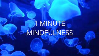 1 Minute Mindfulness - Jellyfish
