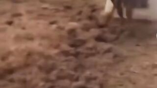 #USA @FUNNY VIDEOS 8