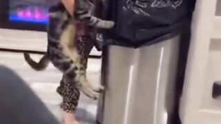 Funny Baby Video 6