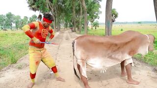 Shaktiman Top New Comedy Video Amazing Funny Video ???? Shaktiman  Special Comedy Video 2024 ???? Episod 0015 By Mr Nigeria