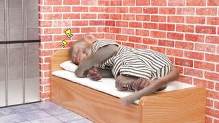Monkey Baby Eat Jelly Fruit Ice Cream