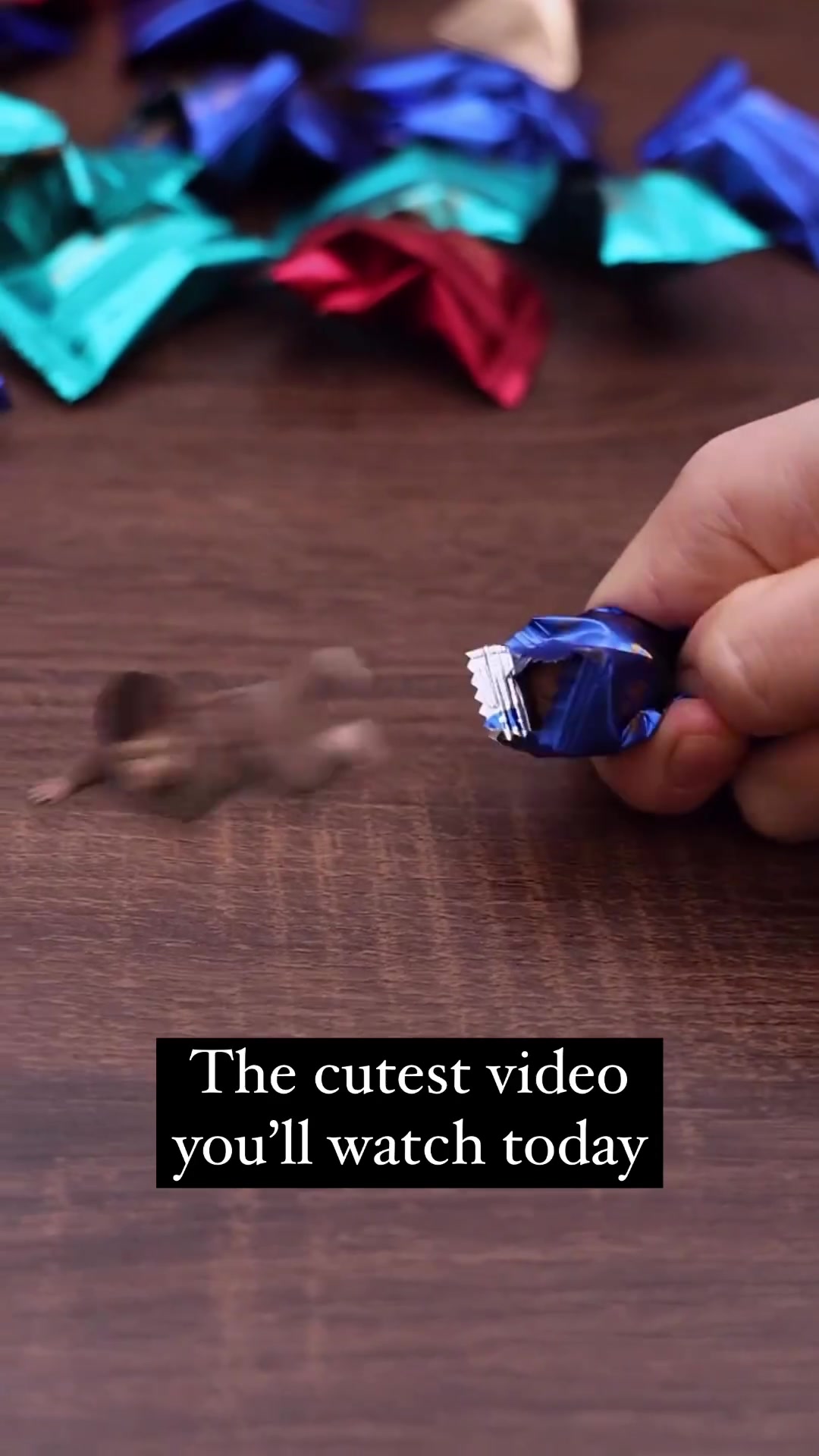 create magical adventures and hilarious scenarios at home, featuring