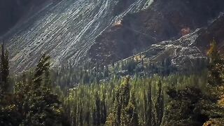 Amazing road video 2024