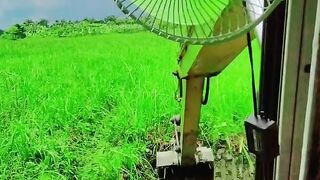 সুন্দর 2