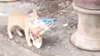 Funny Video Random People #10