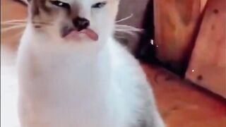 Funny Video Random People #21
