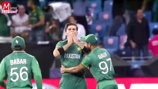 T20 funny clips
