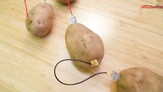 potato battery by Hafu Go