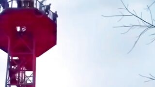Funny video shorts feed