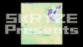 David Guetta - Titanium (Future Rave Remix) X Be My Lover (2023 Mix) (Mashup) Visualizer