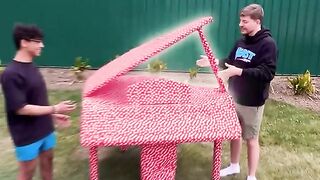 Mr Beast Gift