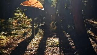 Nature amazing video