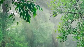 It is raining a lot 2