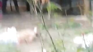 Amazing moment 2